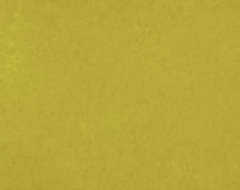 Screen Shot 2024-08-20 at 10.46.46 pm